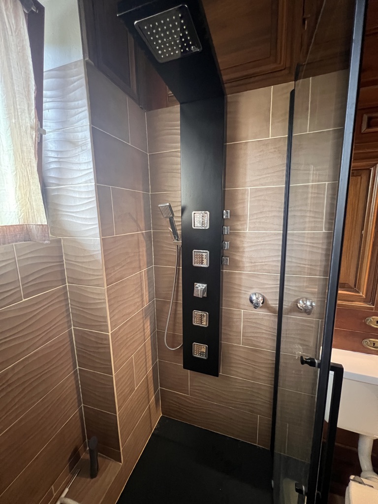 Walk-in shower with rainfall shower panel