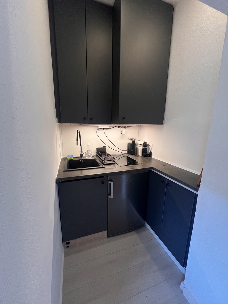 Kitchenette with induction hob, sink, fridge and Nespresso machine