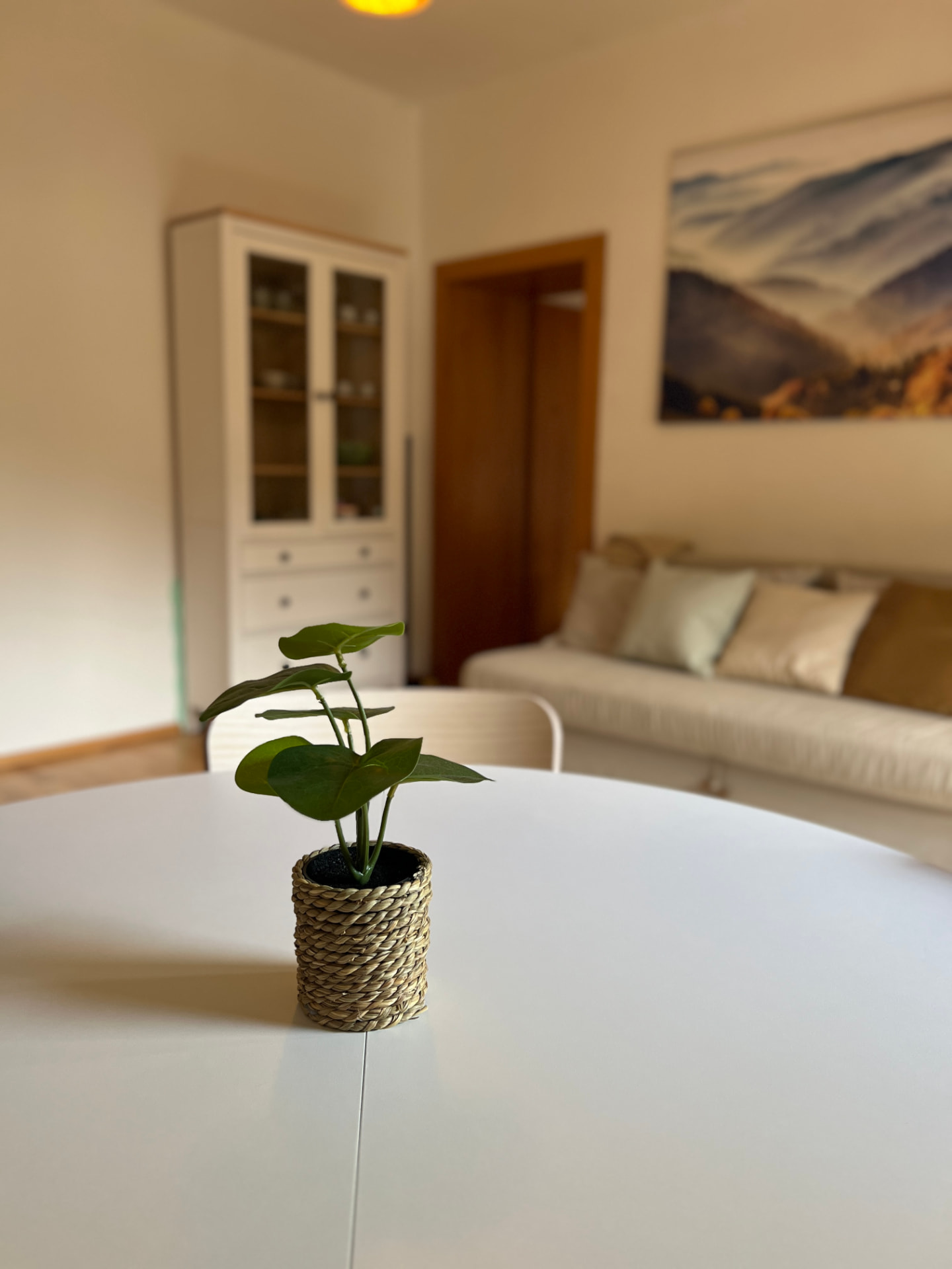 Dining table detail with plant and living area behind